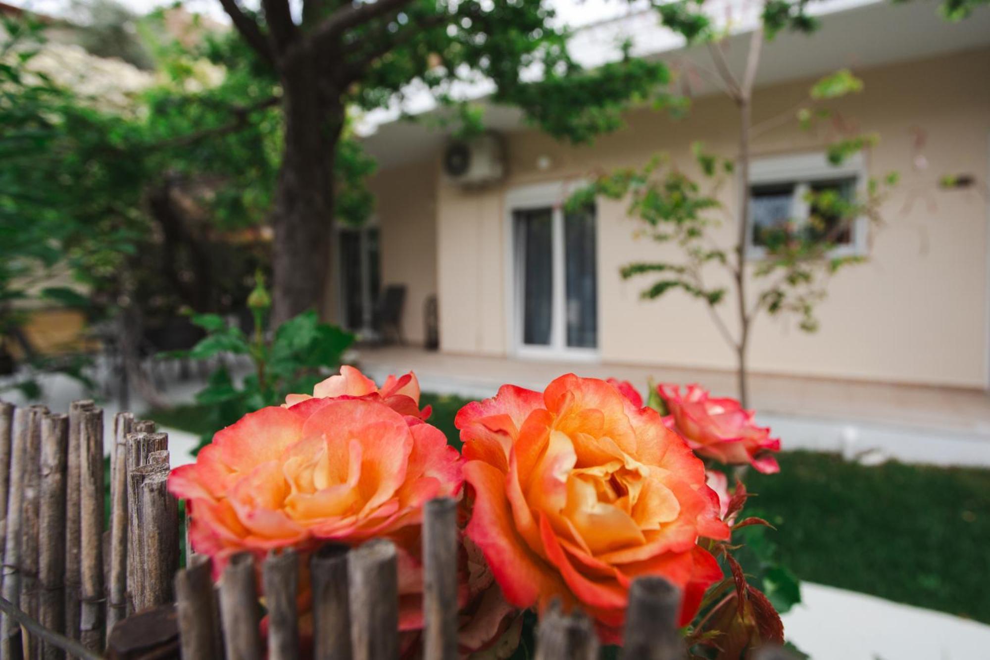Lucy Apartment
